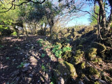 Ballycasey Ringfort Internal Wall | Claire Loader