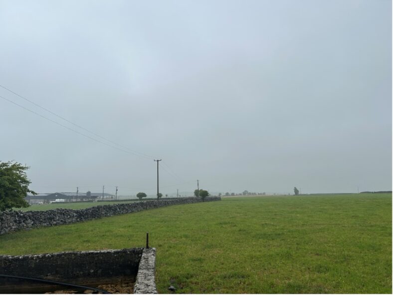 Moyveela | Conor Kinane