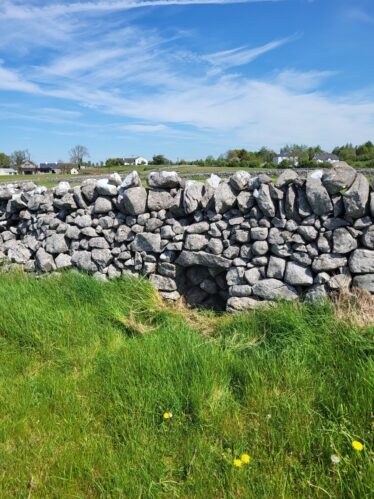 Pooreen in Mausrevagh | Claire Loader