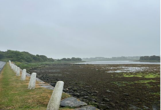 Stradbally, South