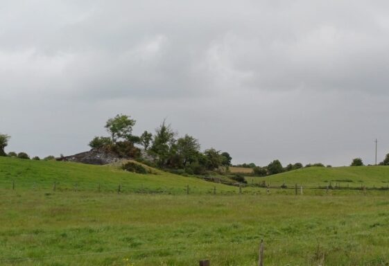 Ballynamona