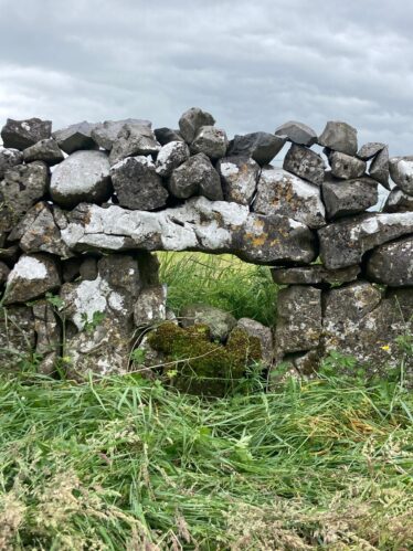 Second Pooreen in Pollnahallia (one of a pair in the same field) | Liam Burke