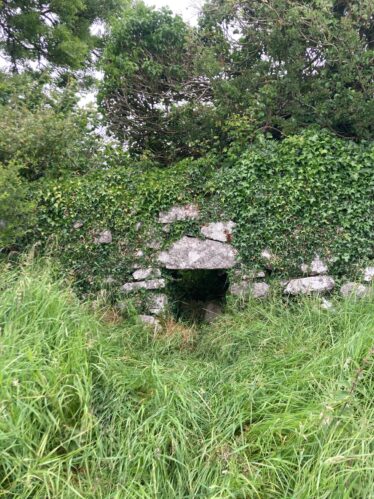 Pooreen in Pollnahallia (one of a pair in the same field) | Liam Burke