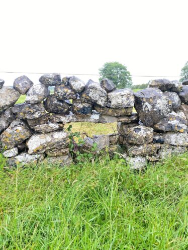 Pooreen in Raheen | Michael Concannon