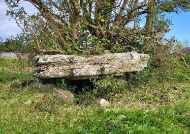 Burial Cist (GA042-019001-) | Claire Loader