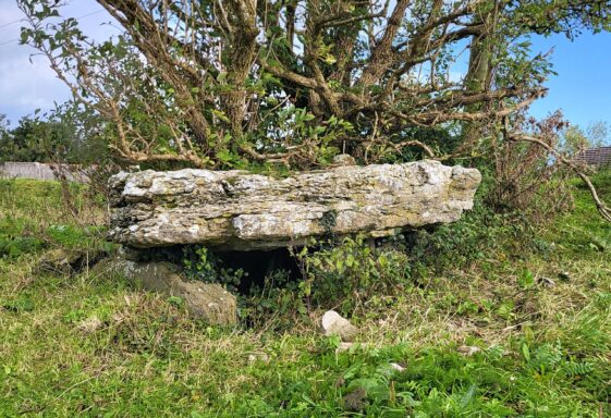 Ballyfruit Monuments