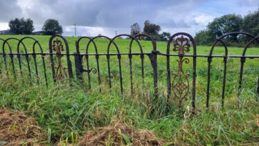 Railing Opposite Entrance to Moyne Hill | Claire Loader