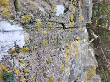 Pillar Marking 1915 Land Reform | Photo: Claire Loader