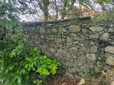 Remains of Hession's House, Beaghbeg | Photo: Claire Loader