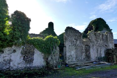 Remains of fFrench's Castle (Fahy's Castle) | Photo: Claire Loader