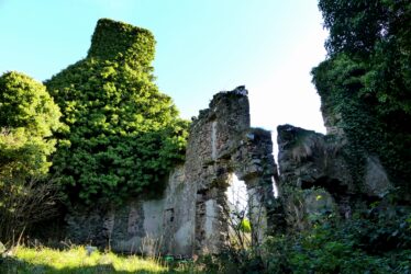 fFrench's Castle (Fahy's Castle) | Photo: Claire Loader