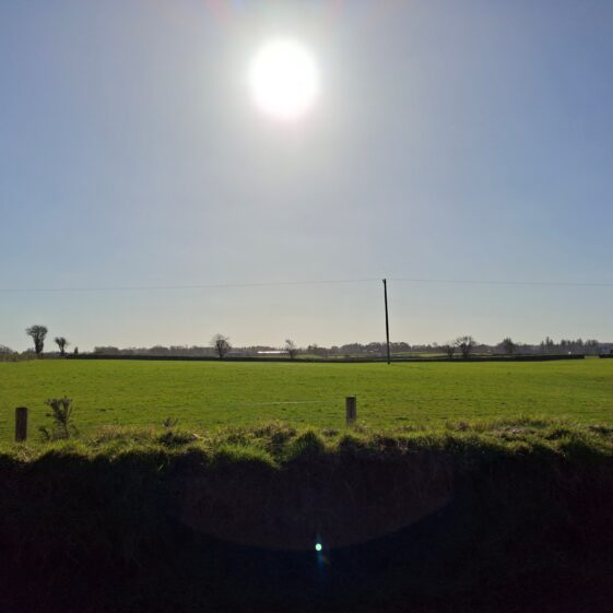 Ballyroe Townland March 3, 2026 | Gavin O'Toole