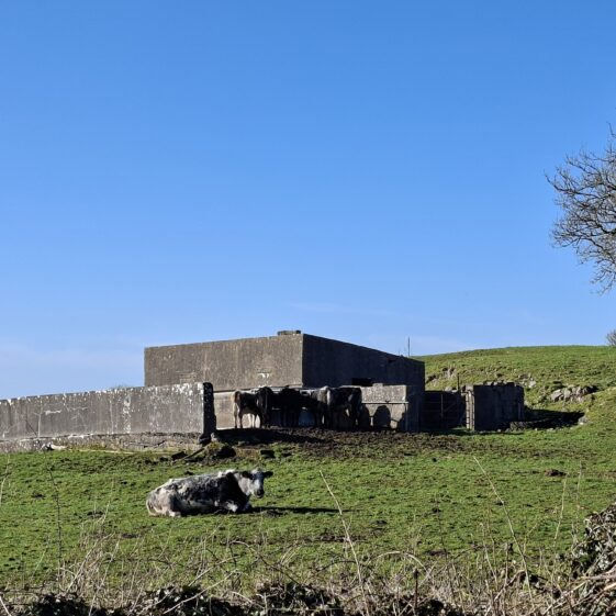 Carrowneany, Templetogher, March 3, 2026 | Gavin O'Toole