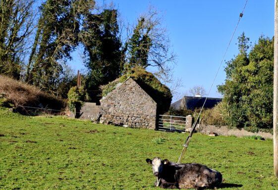 Carrowneany, Templetogher