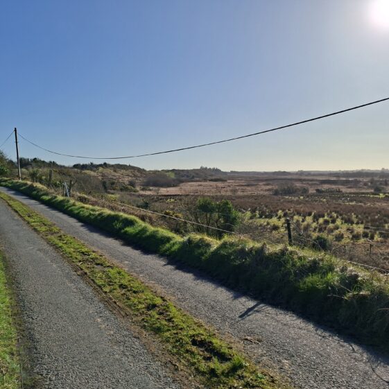 Cloonmaghaura, Templetogeher, March 3, 2026 | Gavin O'Toole