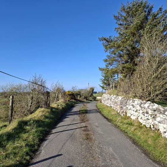 Cloonmaghaura, Templetogeher, March 3, 2026 | Gavin O'Toole
