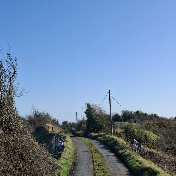 Cloonmaghaura, Templetogeher, March 3, 2026 | Gavin O'Toole