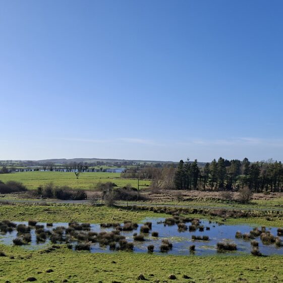 Cloonmaghaura, Templetogeher, March 3, 2026 | Gavin O'Toole