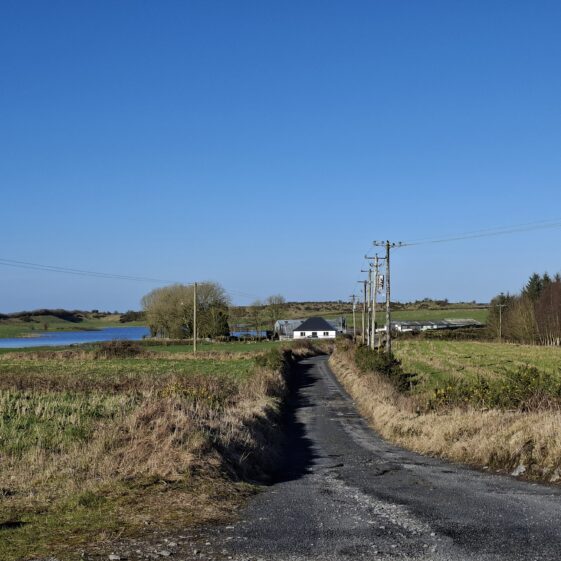 Cartron, West, Templetogher March 3,2026 | Gavin O'Toole