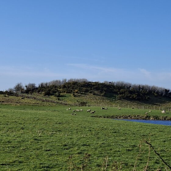 Cartron, West, Templetogher March 3,2026 | Gavin O'Toole