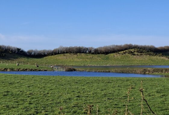 Cartron West (Cortoon West), Templetogher