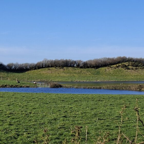 Cartron, West, Templetogher March 3,2026 | Gavin O'Toole