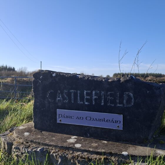 Castlefield, Templetogher March 3, 2026 | Gavin O'Toole