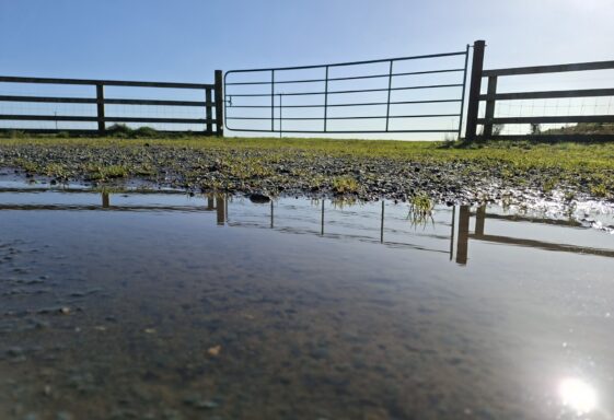 Ballyroe, Templetogher