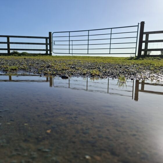 Ballyroe Townland March 3, 2026 | Gavin O'Toole