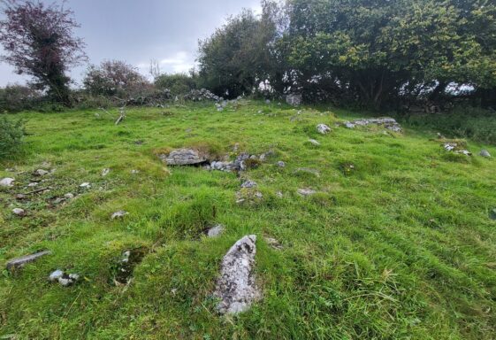 Ballydonnellan Monuments
