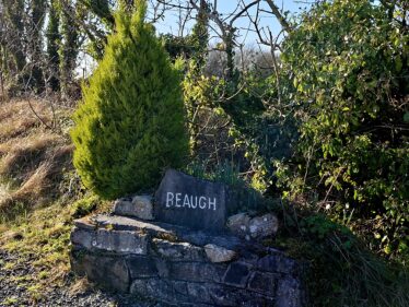 Beagh, Templetogher, March 3, 2026 | Gavin O'Toole