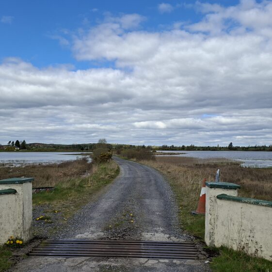 Coothagh, Templetogher (April 20, 2026) | Gavin O'Toole