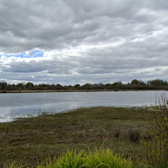 Coothagh, Templetogher (April 20, 2026) | Gavin O'Toole