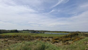 Cartron East, Templetogher (April 23, 2026)