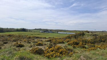 Cartron East, Templetogher (April 23, 2026)