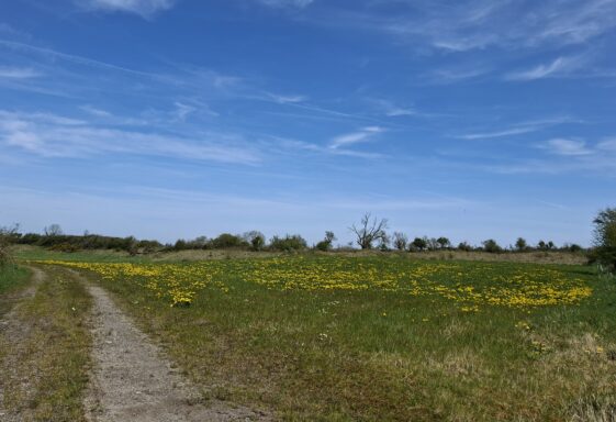 Cartron East (Cortoon East), Templetogher