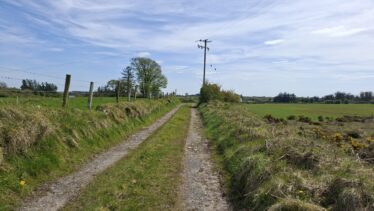 Cartron East, Templetogher (April 23, 2026)