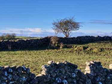 GA042-028 Ringfort Enclosure Wall | Photo: Claire Loader