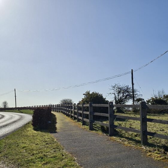 Carrownderry, Kilcroan (Templetogher), March 3, 2026 | Gavin O'Toole
