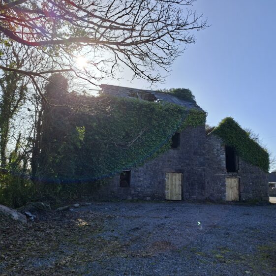 Brierfort, Templetogher March 3, 2026 | Gavin O'Toole