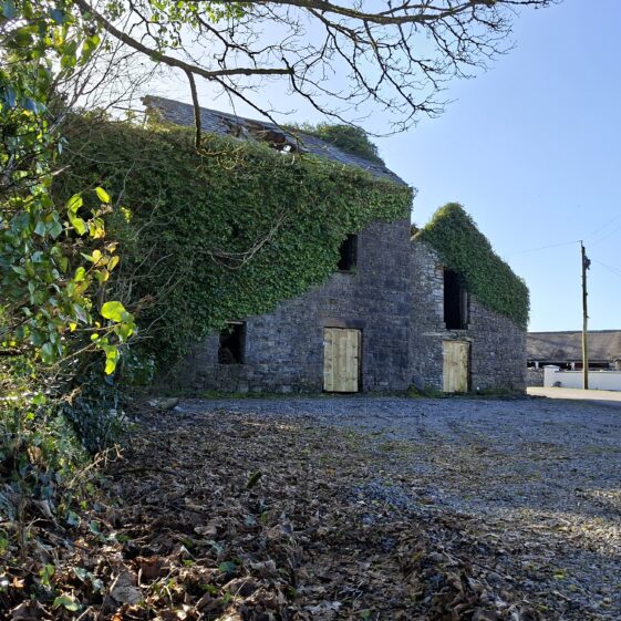 Brierfort, Templetogher March 3, 2026 | Gavin O'Toole