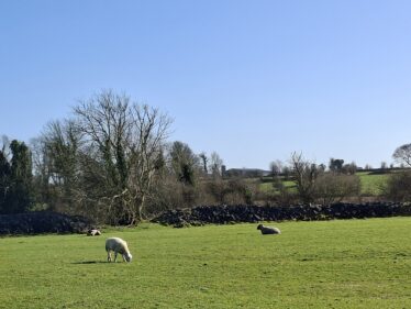 Brierfort, Templetogher March 3, 2026