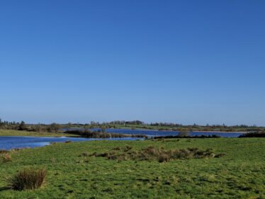 Brierfort, Templetogher March 3, 2026