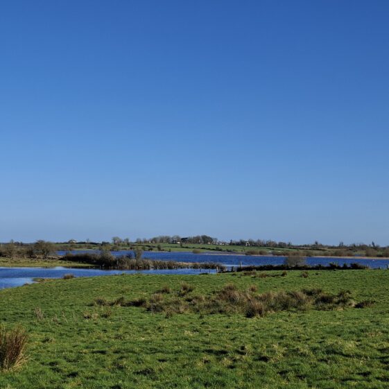 Brierfort, Templetogher March 3, 2026 | Gavin O'Toole