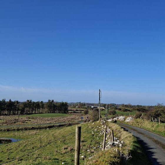 Brierfort, Templetogher March 3, 2026 | Gavin O'Toole