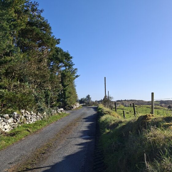 Brierfort, Templetogher March 3, 2026 | Gavin O'Toole