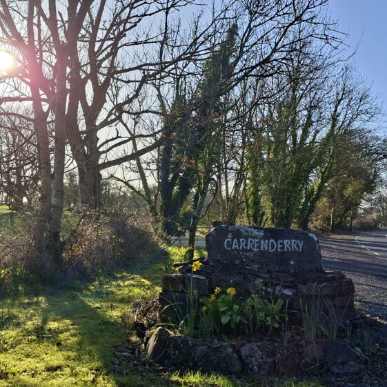 Carrownderry, Kilcroan (Templetogher), March 3, 2026 | Gavin O'Toole