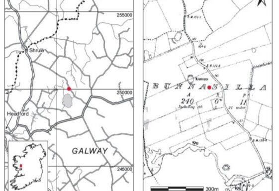Excavation Reports Donaghpatrick-Kilcoona: 1. Bunnasillagh 1953