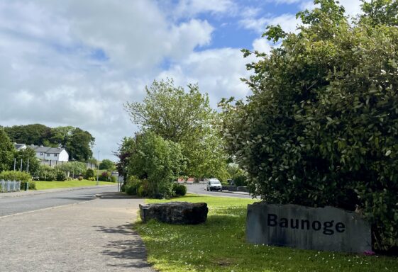 Baunoge