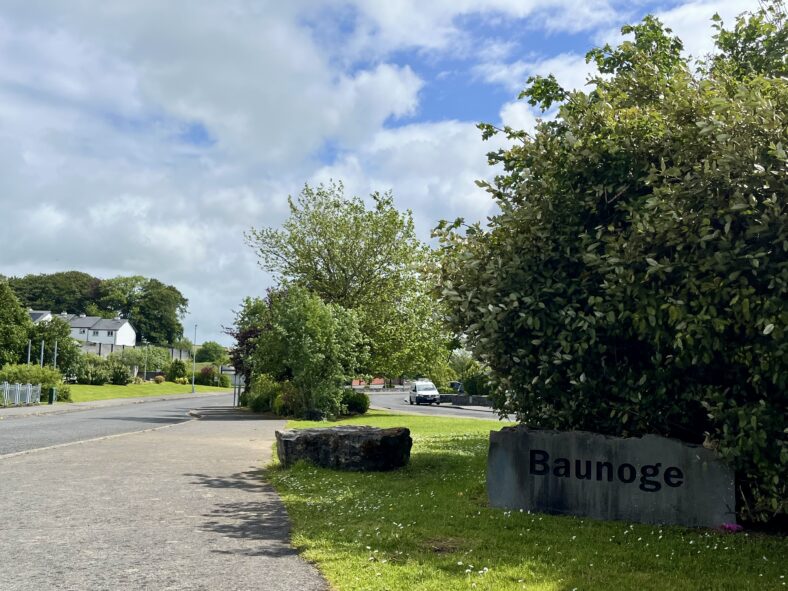 Baunoge